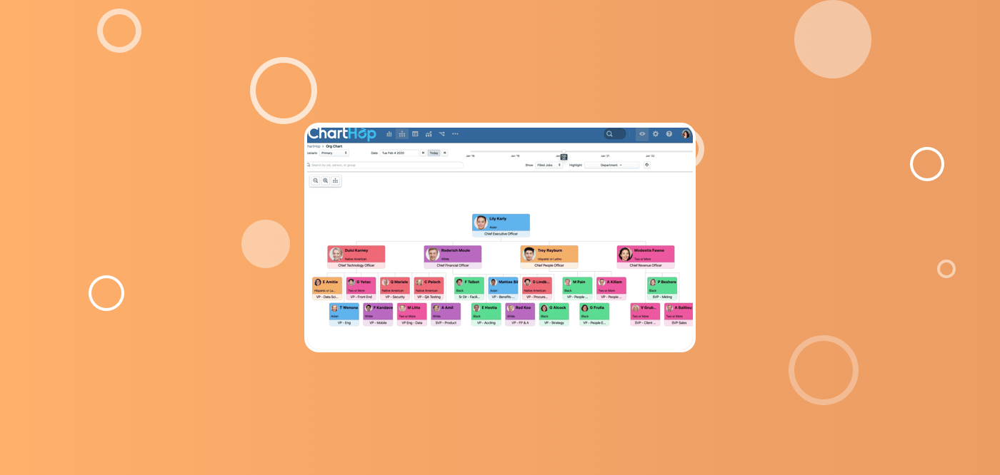 Understanding DEI data 